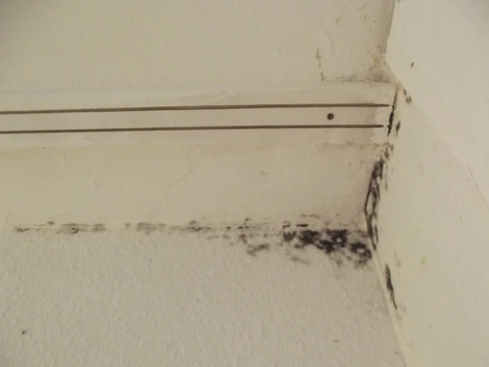 Technician in protective gear removing a mold-damaged wall in an Eldridge home